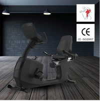 Vélo semi allongé ROADSTER LED auto-alimenté - CARE