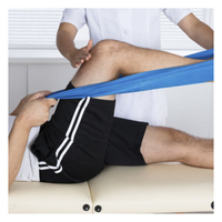 Bandes d'exercices Thera Band 5.5m