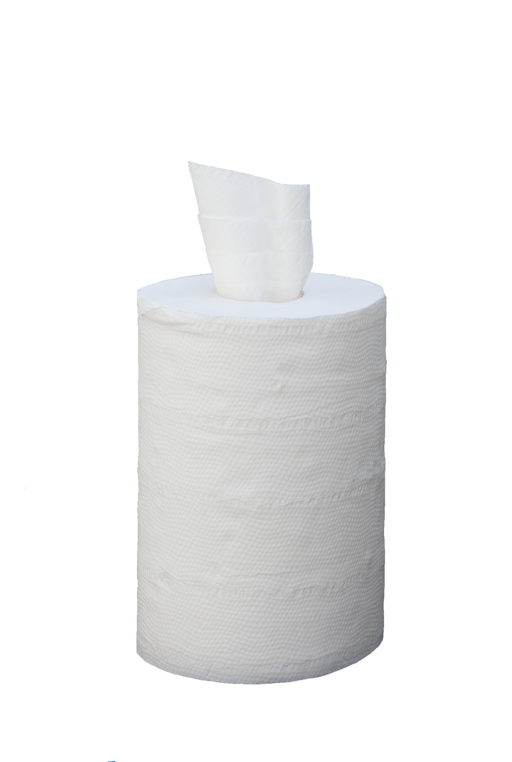 Essuie-tout gaufré Papeco blanc pur 2 plis – 12 rouleaux de 285 formats