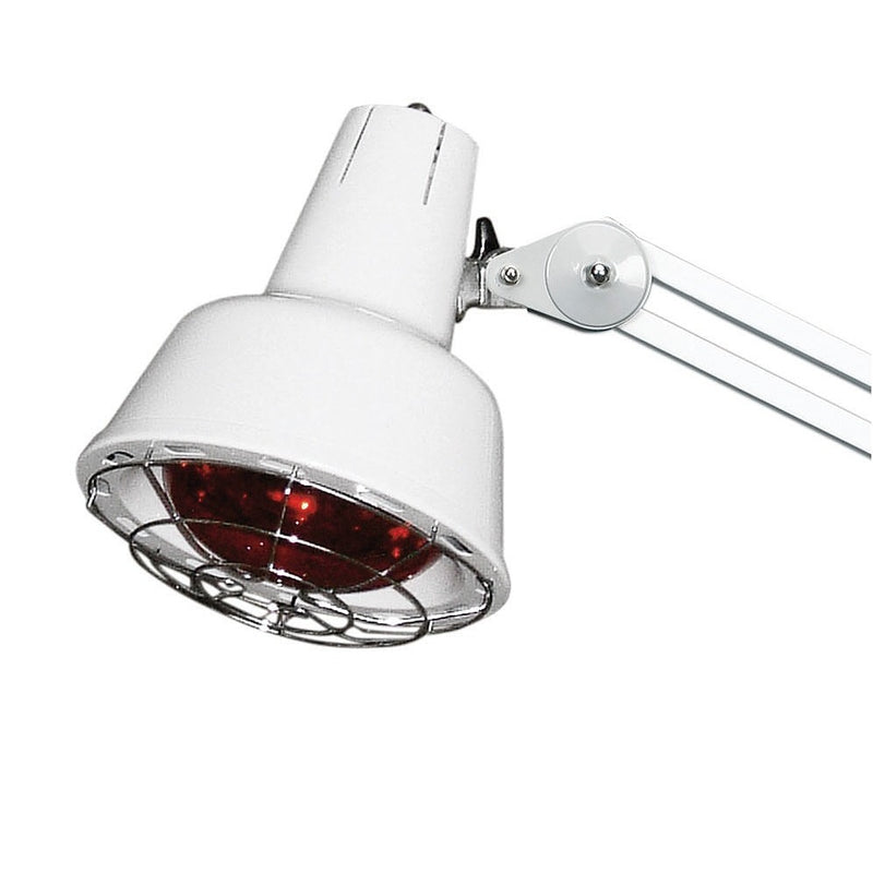 Ampoule pour lampe Theralamp IR 275W