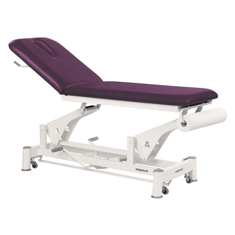 Table de massage 2 plans C5733 - 15 coloris